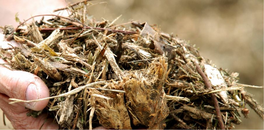 02_Kollektionen/Lösungen